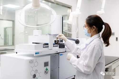 落地母婴大会 年度金牌服务商的软件开发与优质服务之道